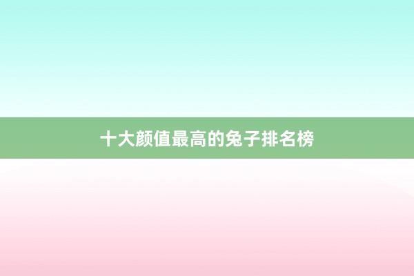 十大颜值最高的兔子排名榜